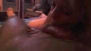 Filmes do rocco comendo transex